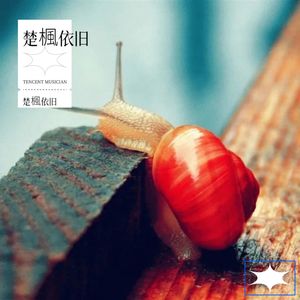 绝不放手