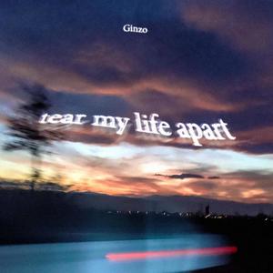 Tear My Life Apart (Explicit)