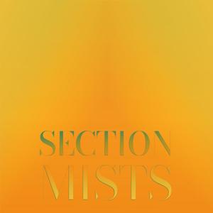 Section Mists