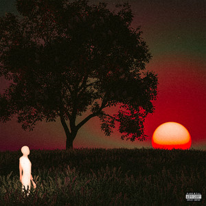 STEAL THE SHOW (Explicit)