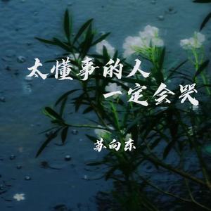 太懂事的人一定会哭