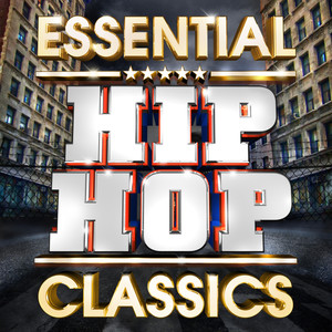 Essential Hip Hop Classics - The Top 30 Best Ever HipHop Hits Of All Time !