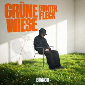 Grüne Wiese Bunter Fleck (Explicit)