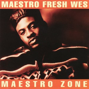 The Maestro Zone