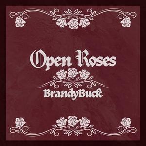 Open Roses