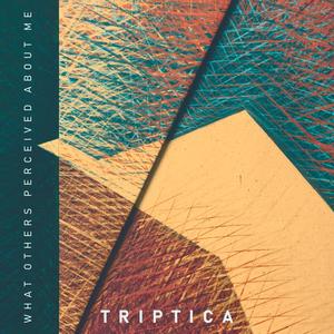 Tape Version (Me as percieved by Sumtn)