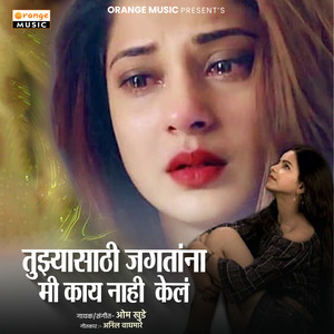 Tujhyasathi Jagatana Mi Kay Nahi Kel