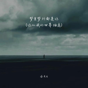 梦里梦外都是你 (你从我的世界抽离)封面