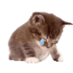 embêtant (feat. Shazu & Meji)