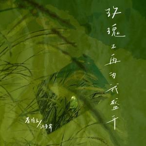 玫瑰不再为我盛开