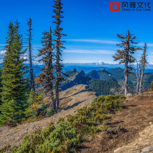 王子在你家 -古筝