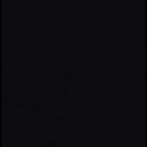 Emmett till (Explicit)