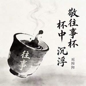 敬往事杯中沉浮 (万物终究皆空语录版)