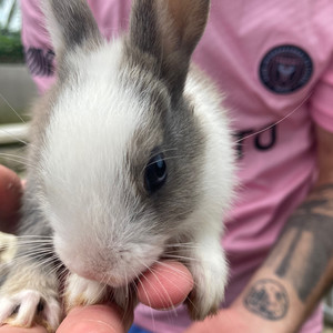 Frühlingssonne (Explicit)