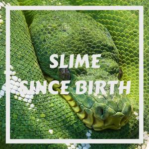 Slime Since Birth