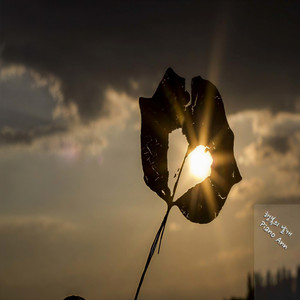 Piano Ann - 행복의 날개 (幸福的翅膀)