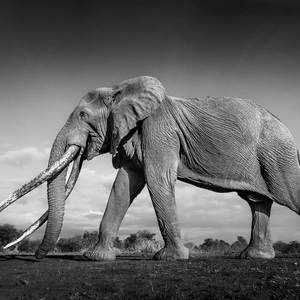 like that (Explicit)