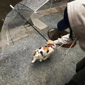 牵丝戏 (Remix)