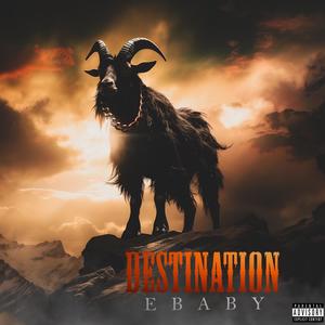 DESTINATION (Explicit)