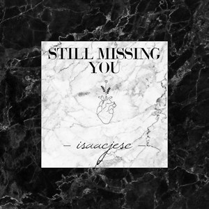 Still Missing You