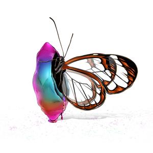 Hello I'm Jack (Explicit)