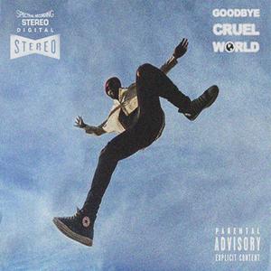 GOODBYE CRUEL WORLD (Explicit)