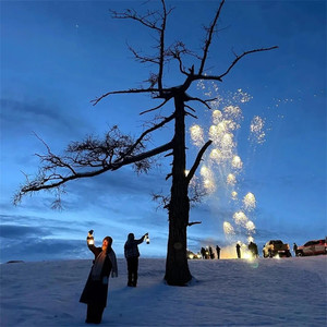 Bloody Mary（科技小曲）(PHONK)