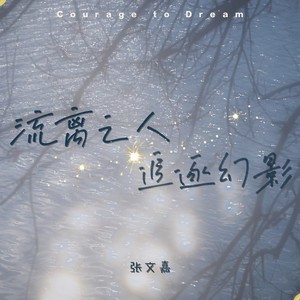 流离之人追逐幻影