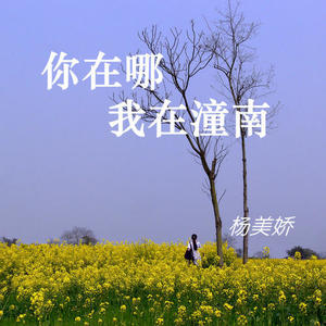 你在哪 我在潼南 (伴奏)