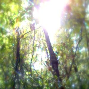 piercedside (feat. xz) (Explicit)