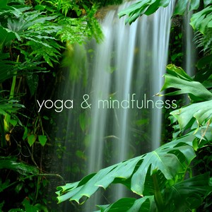 Meditation Winds (Zen Music for Spiritual Awakening)