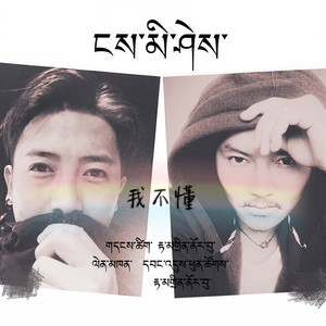我不懂 - 旺堆彭措、丹真罗布封面