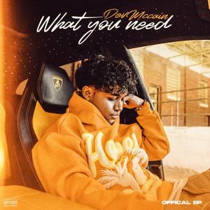 What You Need (Explicit)