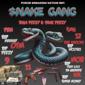 $nAKE GANG (Explicit)