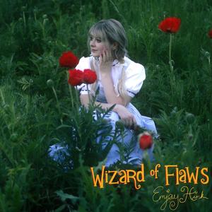 Wizard of Flaws