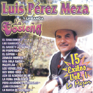 Luis Pérez Meza Y La Banda La Costeña - 15 Éxitos Vol. 1 - Lo Mejor