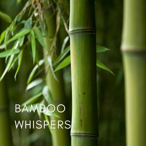 Bamboo Whispers