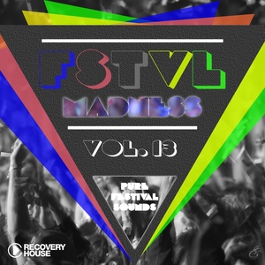 FSTVL Madness, Vol. 13 - Pure Festival Sounds