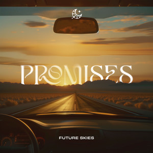 Promises (Slowed|Reverb)