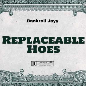 Replaceable Hoes (Explicit)