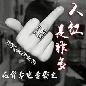 独钟花臂彦 - 善恶终有报 (Remix)