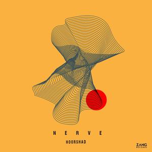 Nerve