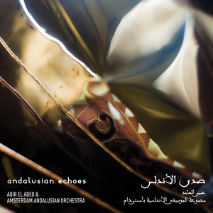 Taqsim Flamenco Guitar(feat. Edsart Udo de Haes)