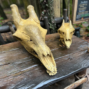 Hey Mister That's Me up on the Jukebox