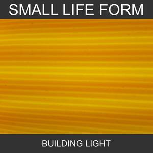 Building Light