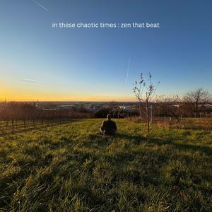 In These Chaotic Times