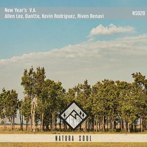 Black Cat (Original Mix)