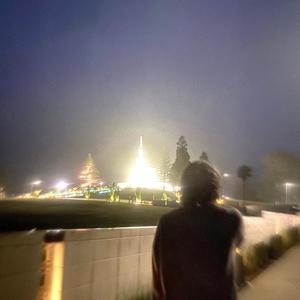 Ciba - self care (Explicit)