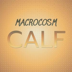 Macrocosm Calf