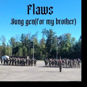 Flaws (Explicit)